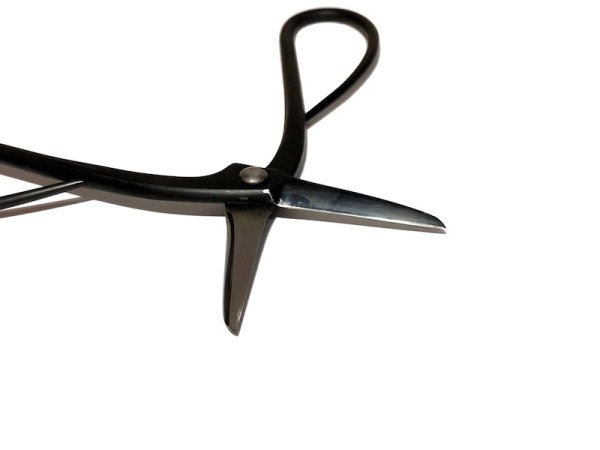 画像3: 特許長柄剪定鋏（昌国） (3)