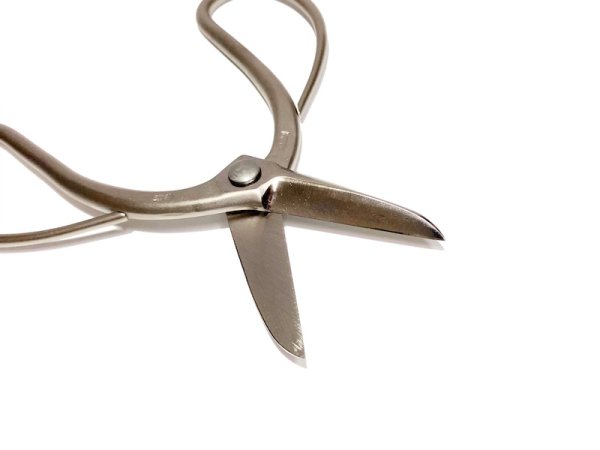 画像4: 白染剪定鋏(昌国) (4)