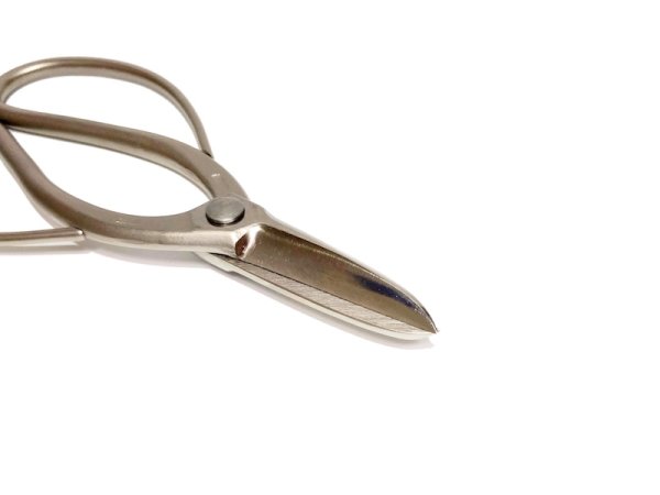 画像2: 白染剪定鋏(昌国) (2)