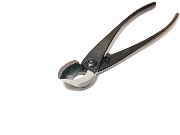 画像2: 又枝切 大(八木光) (2)