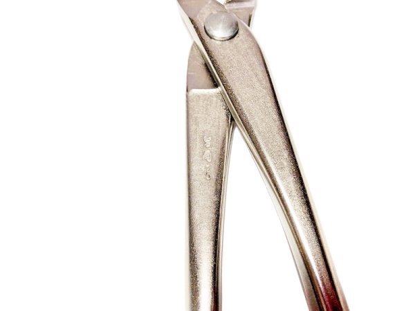 画像4: 白染又枝切(昌国) (4)