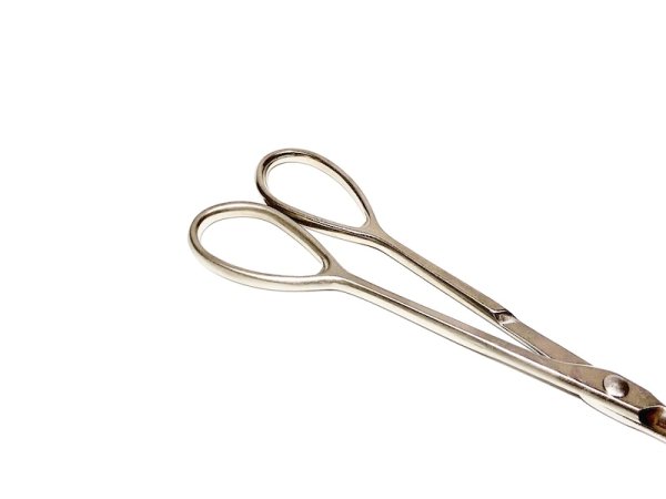 画像3: 白染新型芽つみ鋏(昌国) (3)