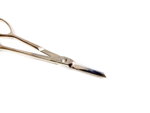 画像2: 白染新型芽つみ鋏(昌国) (2)