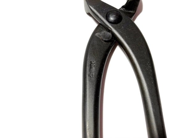 画像4: コブ切(大)(昌国) (4)