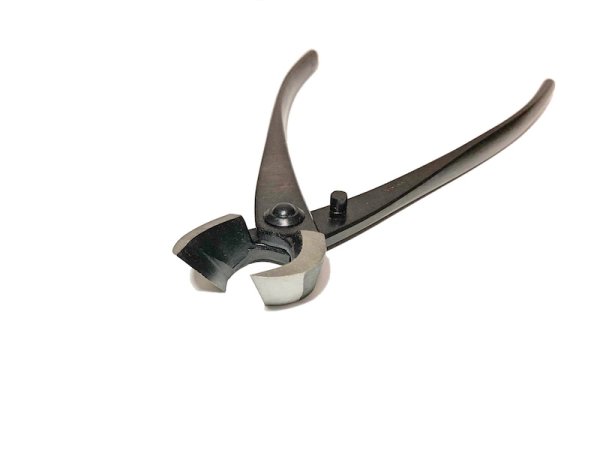 画像3: 又枝切 大(八木光) (3)