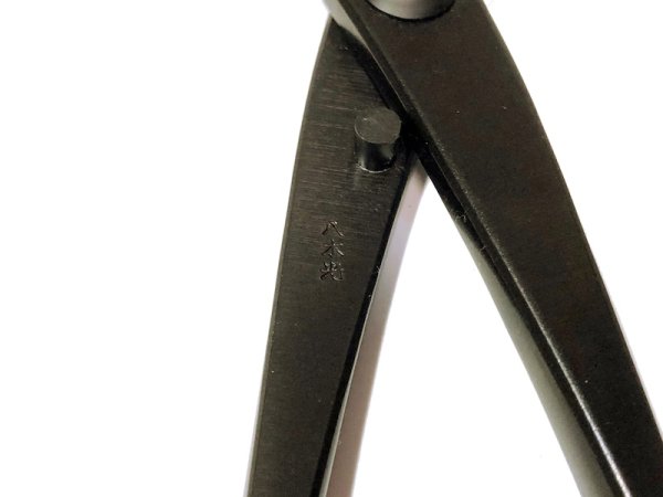 画像4: 又枝切 大(八木光) (4)