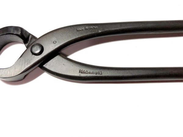 画像5: コブ切(大)(昌国) (5)