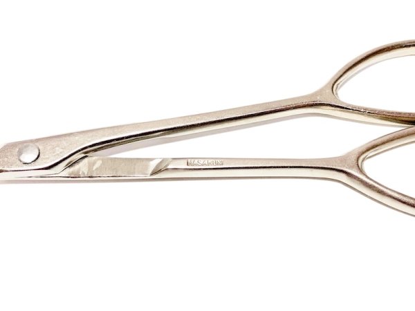 画像5: 白染新型芽つみ鋏(昌国) (5)