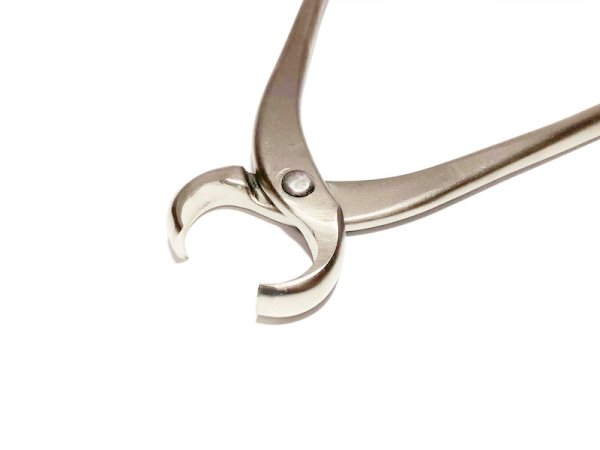 画像3: 白染新型丸刃コブ切(大)(昌国) (3)