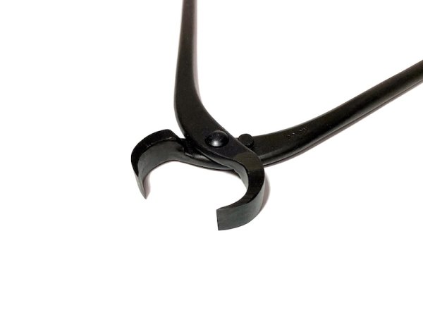 画像3: コブ切(大)(昌国) (3)