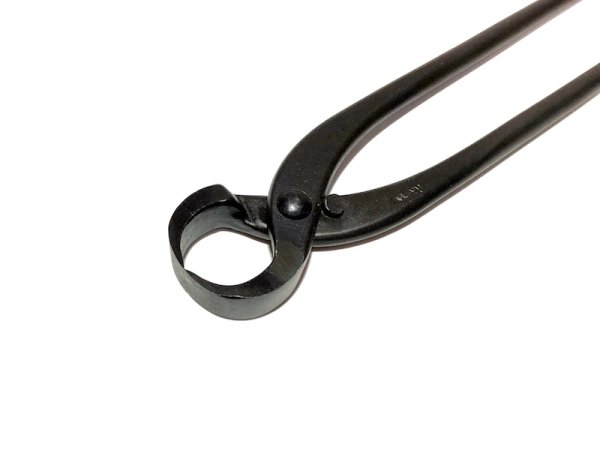 画像2: コブ切(大)(昌国) (2)