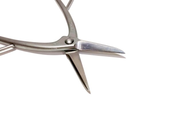 画像3: 長柄剪定鋏(昌国) (3)