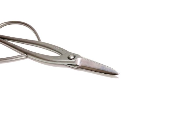 画像2: 長柄剪定鋏(昌国) (2)