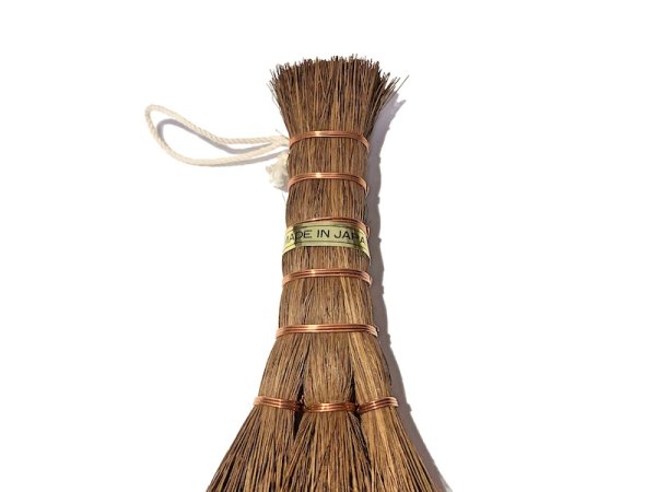 画像3: 盆栽シュロホウキ 大(八木光) (3)