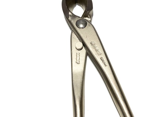 画像5: 白染又枝切(小)(昌国) (5)