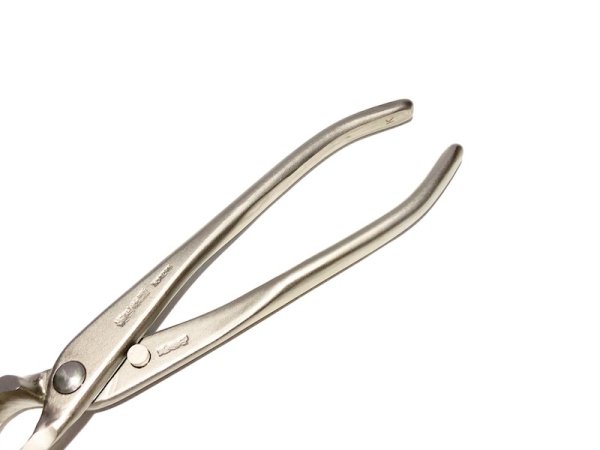 画像4: 白染又枝切(小)(昌国) (4)