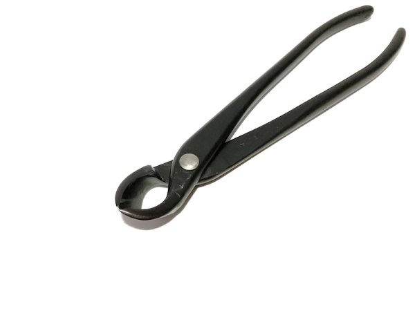 画像2: 又枝切(昌国) (2)