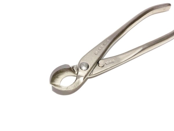 画像2: 白染又枝切(小)(昌国) (2)