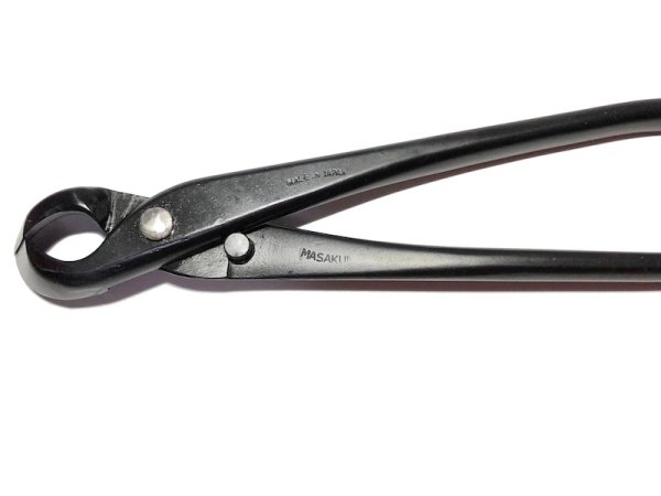 画像5: 又枝切(昌国) (5)