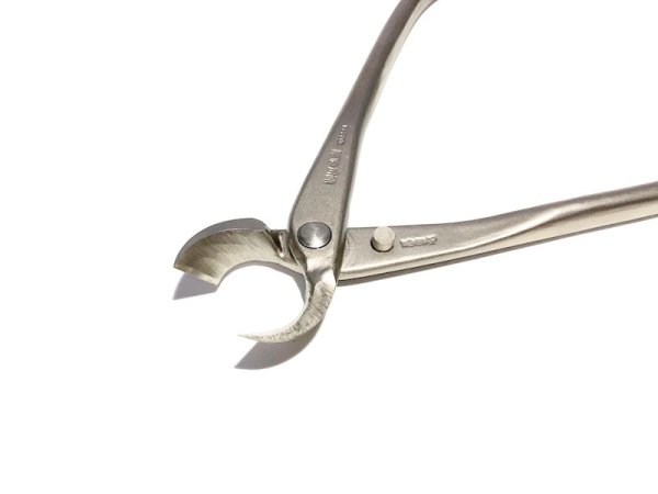 画像3: 白染又枝切(小)(昌国) (3)