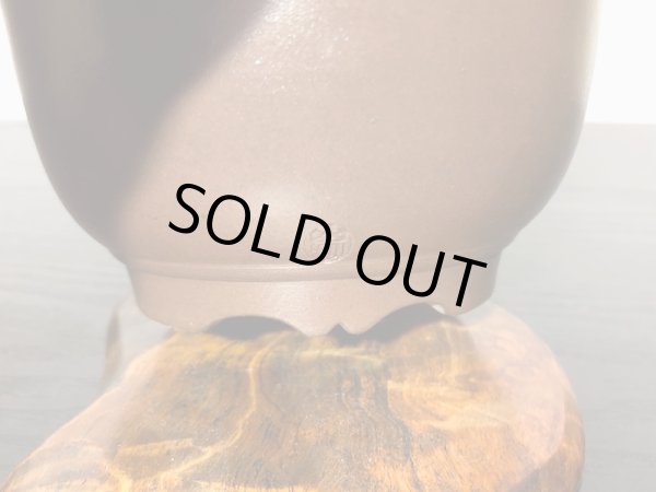 画像7: 根上がり黒松 小品盆栽 (7)