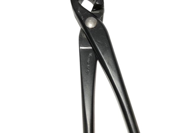 画像4: 又枝切(昌国) (4)