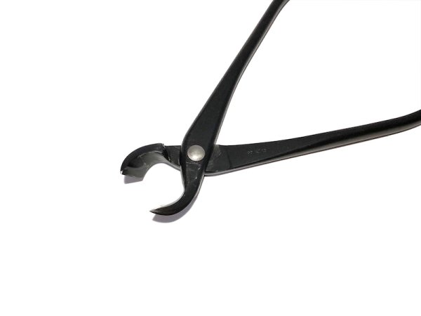 画像3: 又枝切(昌国) (3)