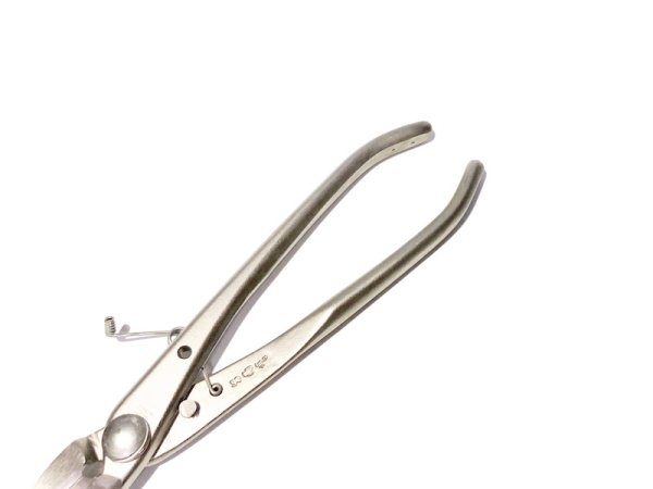 画像4: 白染反り刃又枝切（小）（昌国） (4)