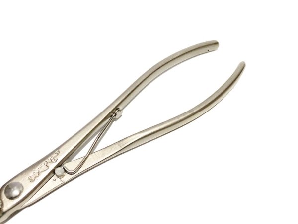 画像4: 白染細刃又枝切(昌国) (4)