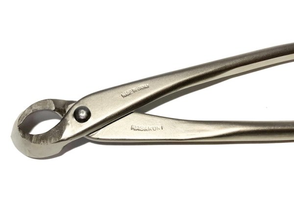 画像6: 白染又枝切(小)(昌国) (6)