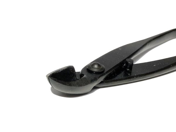 画像6: 丸刃又枝切 大(八木光) (6)