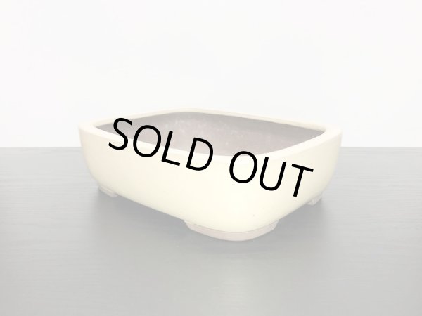 画像4: 常滑鉢　「松泉焼　山秋」　白釉内縁撫角長方鉢 (4)