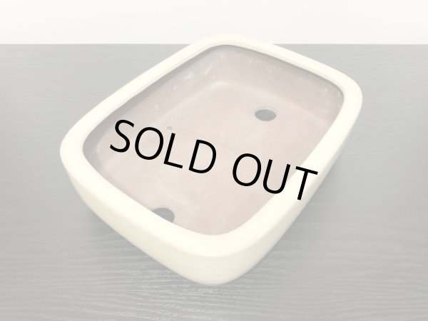 画像6: 常滑鉢　「松泉焼　山秋」　白釉内縁撫角長方鉢 (6)