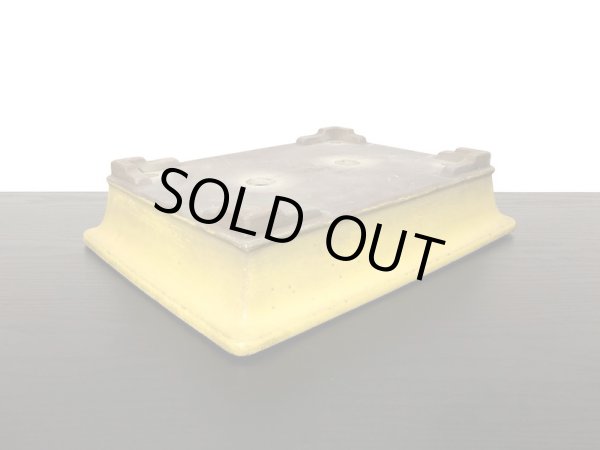 画像5: 常滑鉢 「松泉焼 山秋」 黄釉外縁長方鉢 (5)