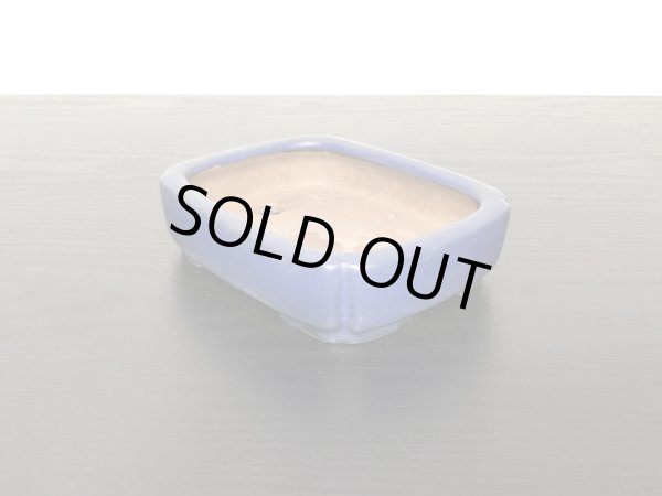 画像4: 常滑鉢　「柴勝」　瑠璃釉隅入切足長方鉢 (4)