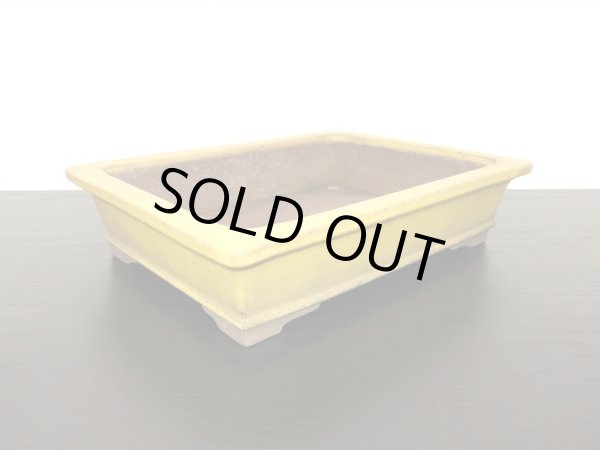 画像4: 常滑鉢 「松泉焼 山秋」 黄釉外縁長方鉢 (4)