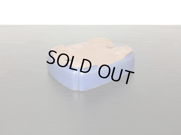 画像6: 常滑鉢　「柴勝」　瑠璃釉隅入切足長方鉢 (6)