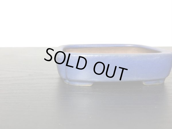 画像3: 常滑鉢　「柴勝」　瑠璃釉隅入切足長方鉢 (3)