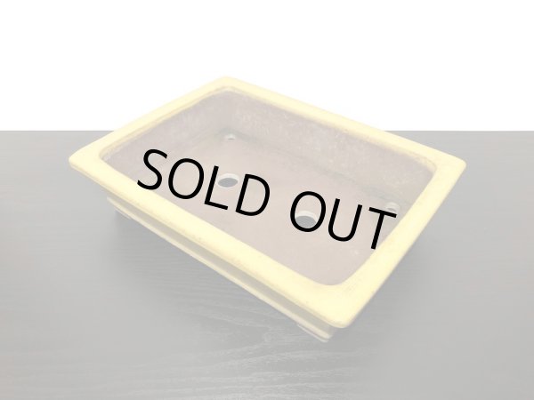 画像6: 常滑鉢 「松泉焼 山秋」 黄釉外縁長方鉢 (6)