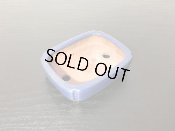 画像5: 常滑鉢　「柴勝」　瑠璃釉隅入切足長方鉢 (5)