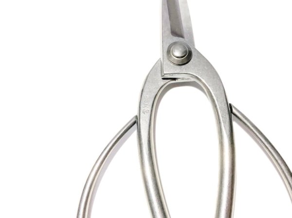 画像4: ステンレス盆栽鋏(喜久和) (4)