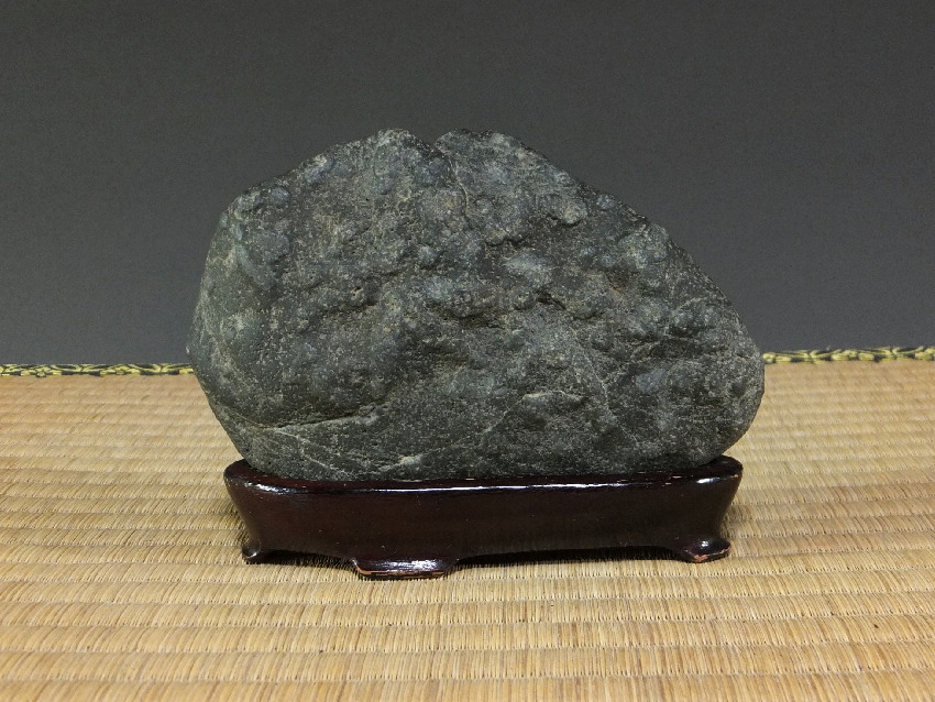 水石 藤枝ちりめん石 10kg！鑑賞石 盆石 石水