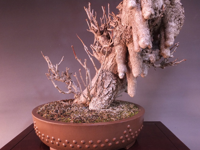 緑の湖面 91cm×122cm List of Japanese [C04] Starter Deck Vol.2: Dual Blade of the